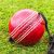 Fortress-String-Hanging-Leather-Cricket-Ball