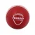 SG-Prosoft-Synthetic-Cricket-Ball-Red-e1659448381582